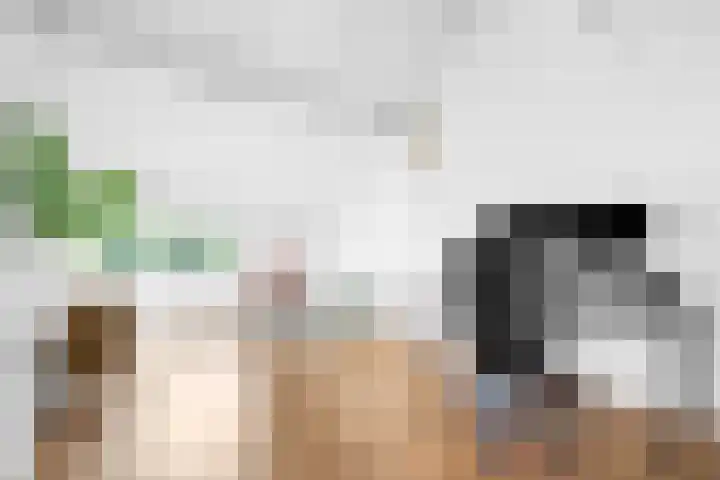 Leenderweg 235 Eindhoven thumbnail 64