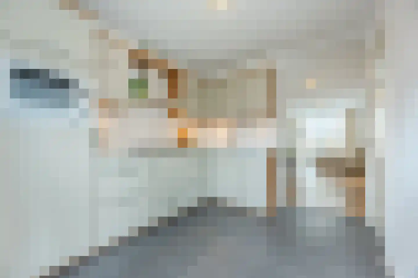 Leenderweg 347 Eindhoven thumbnail 15