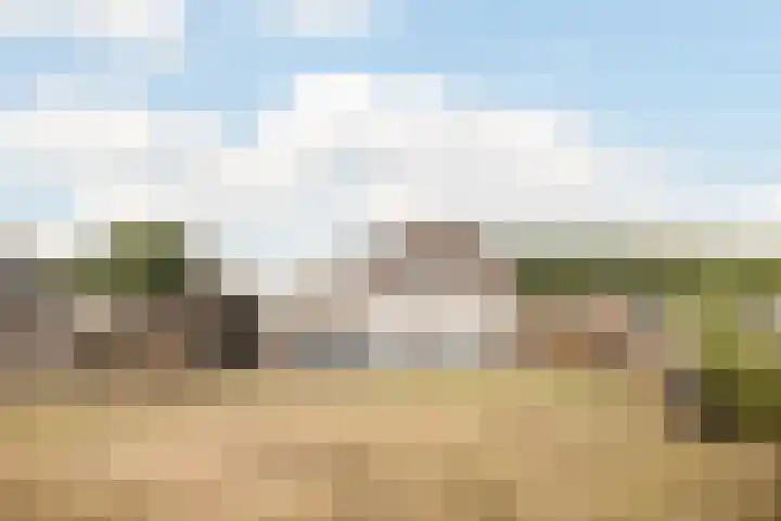 Leenderweg 44 Heeze thumbnail 26