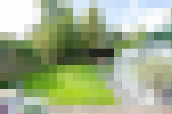 Logo van Leenen Vastgoed