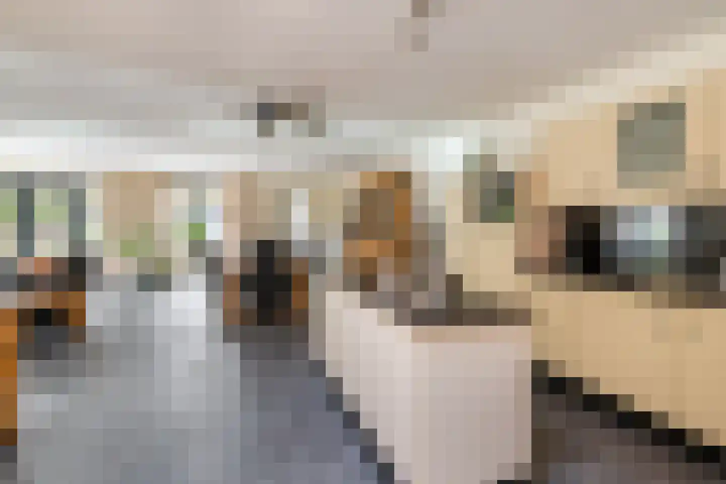 Leenman 8 Maasland thumbnail 11