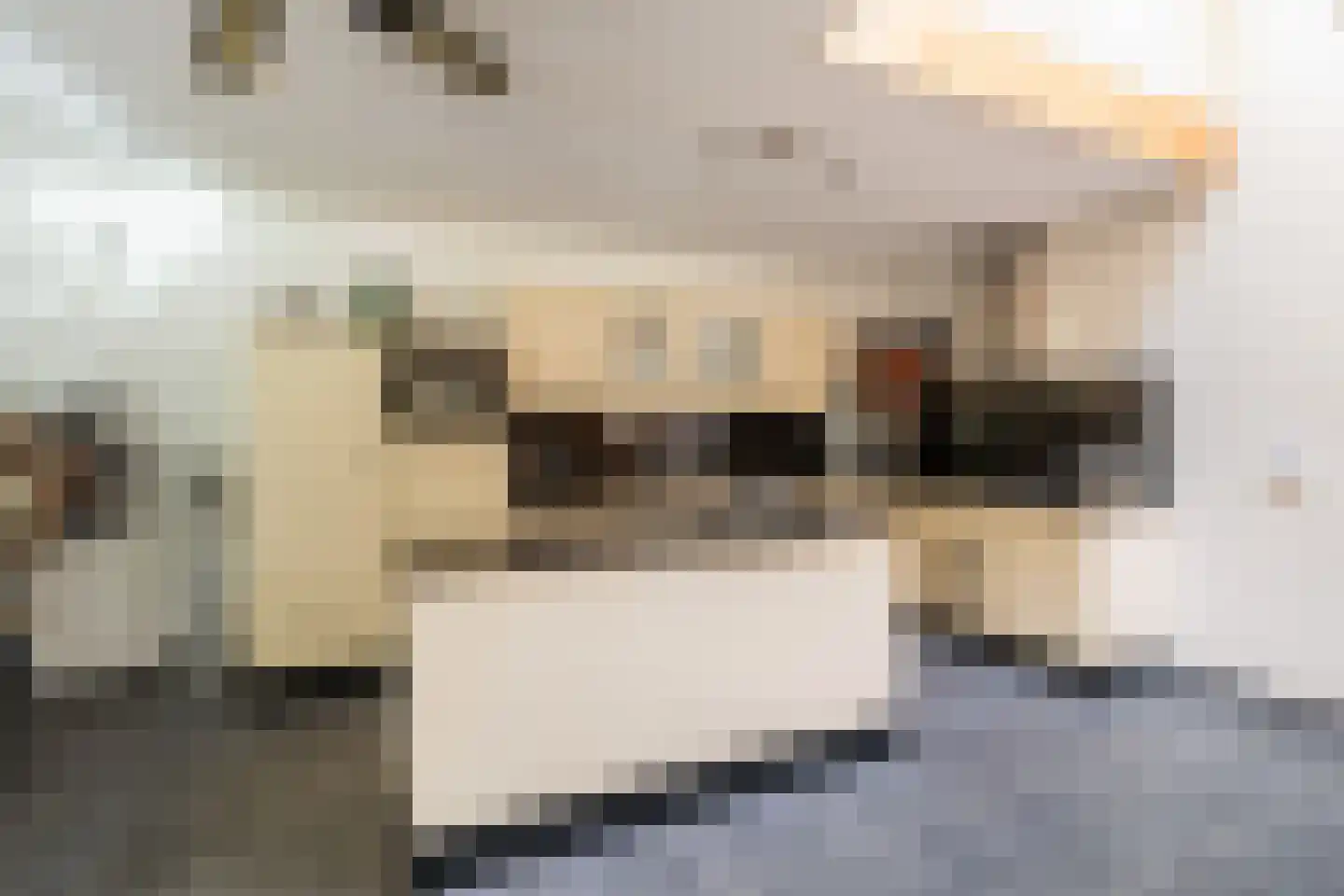 Leenman 8 Maasland thumbnail 12