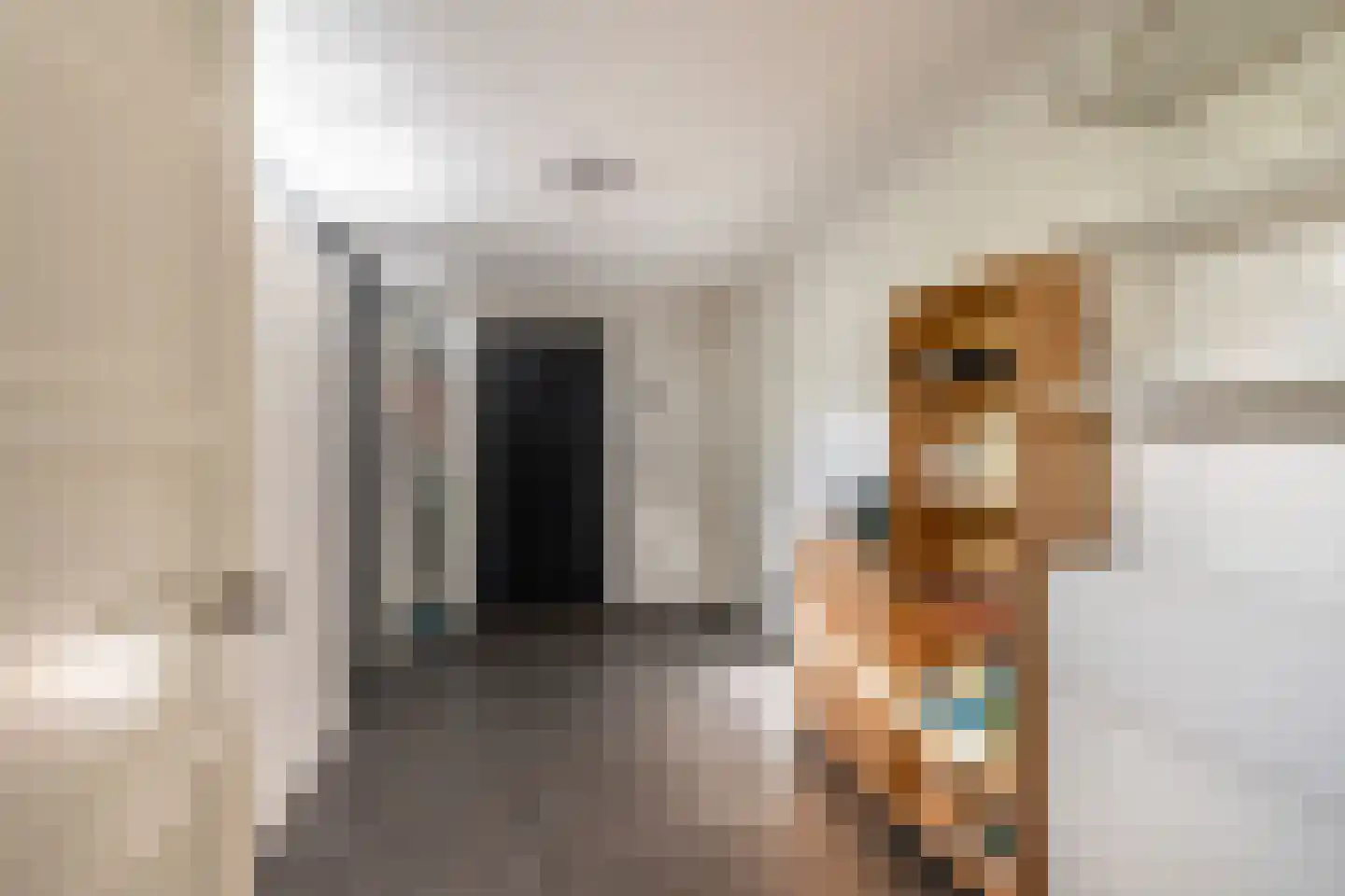 Leenman 8 Maasland thumbnail 14