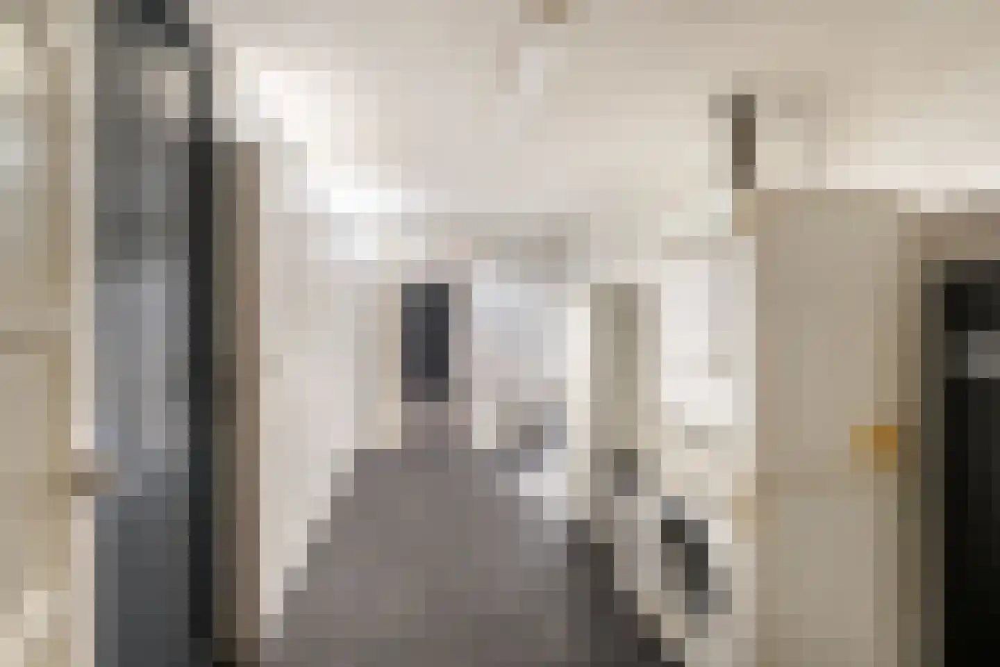Leenman 8 Maasland thumbnail 15