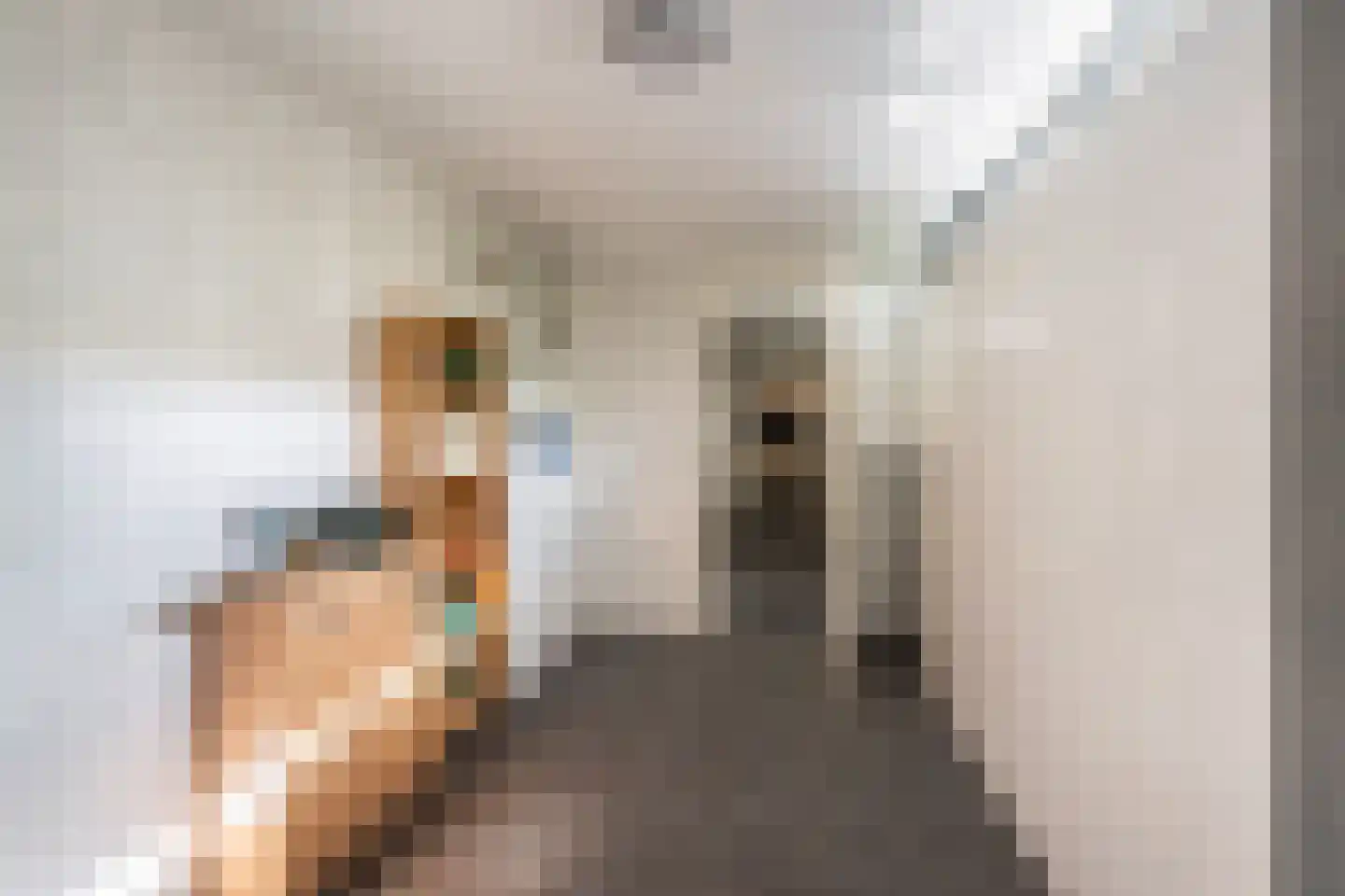 Leenman 8 Maasland thumbnail 16