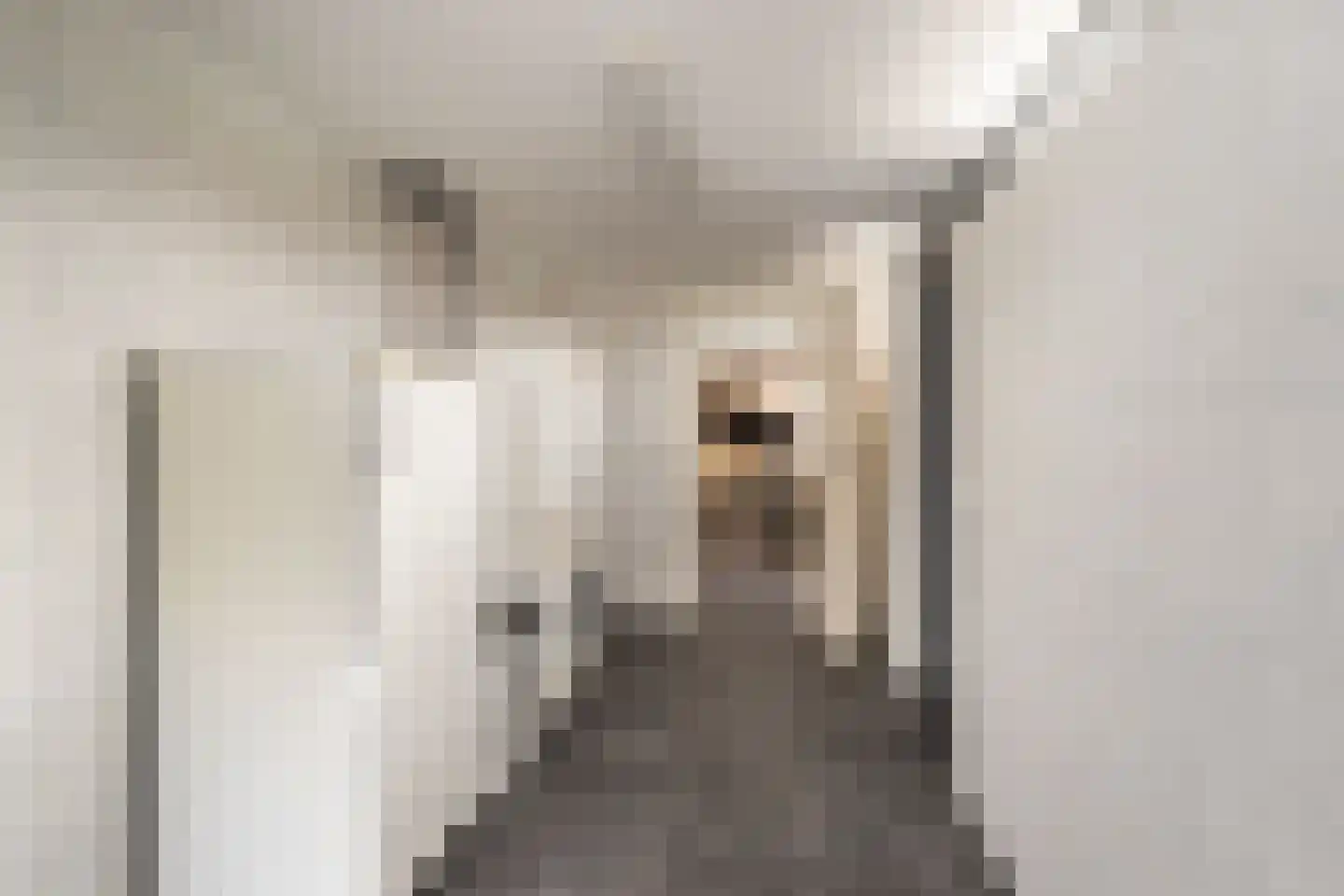 Leenman 8 Maasland thumbnail 17