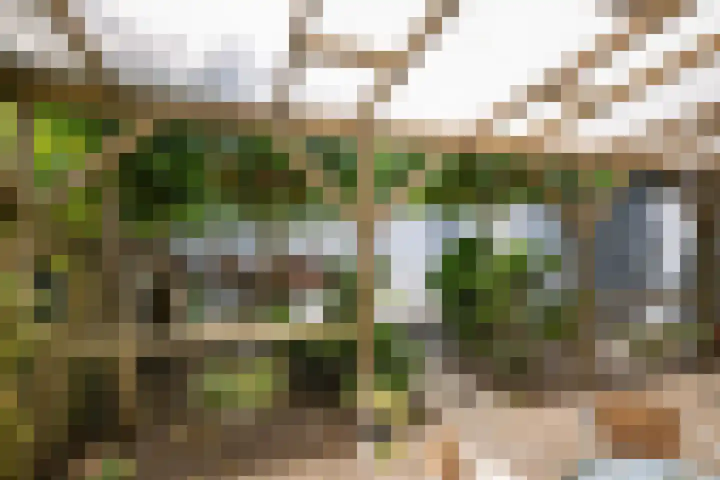 Leenman 8 Maasland thumbnail 21