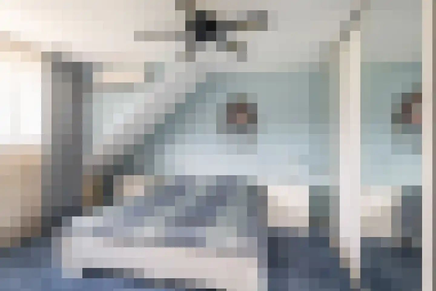 Leenman 8 Maasland thumbnail 26