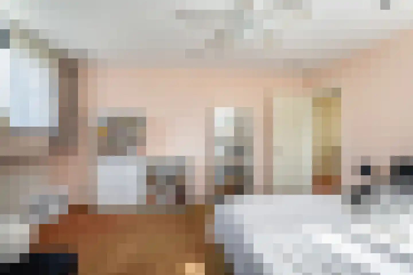 Leenman 8 Maasland thumbnail 27