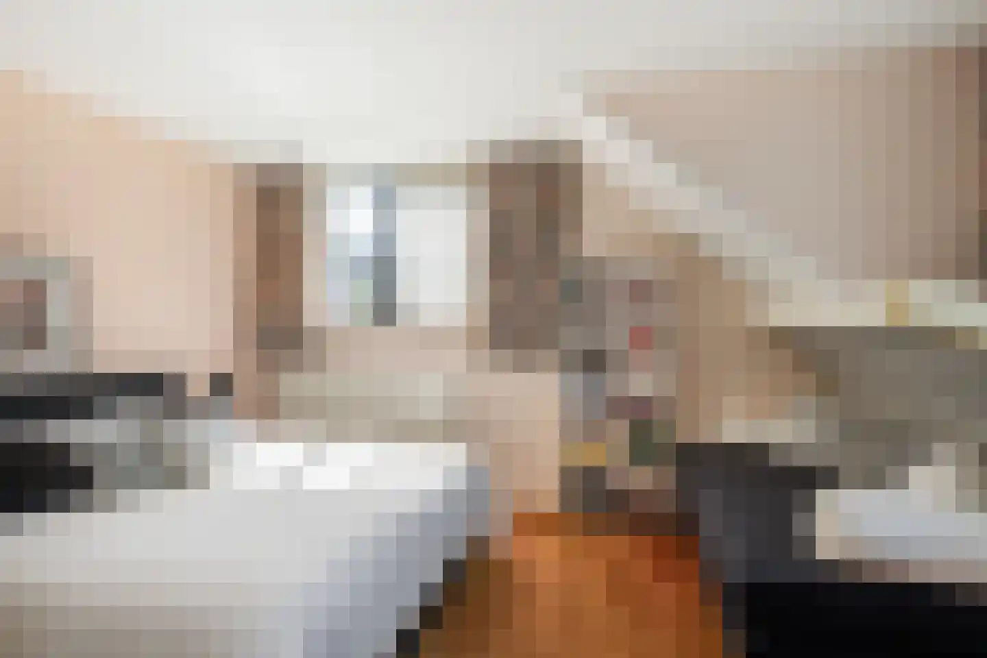 Leenman 8 Maasland thumbnail 28