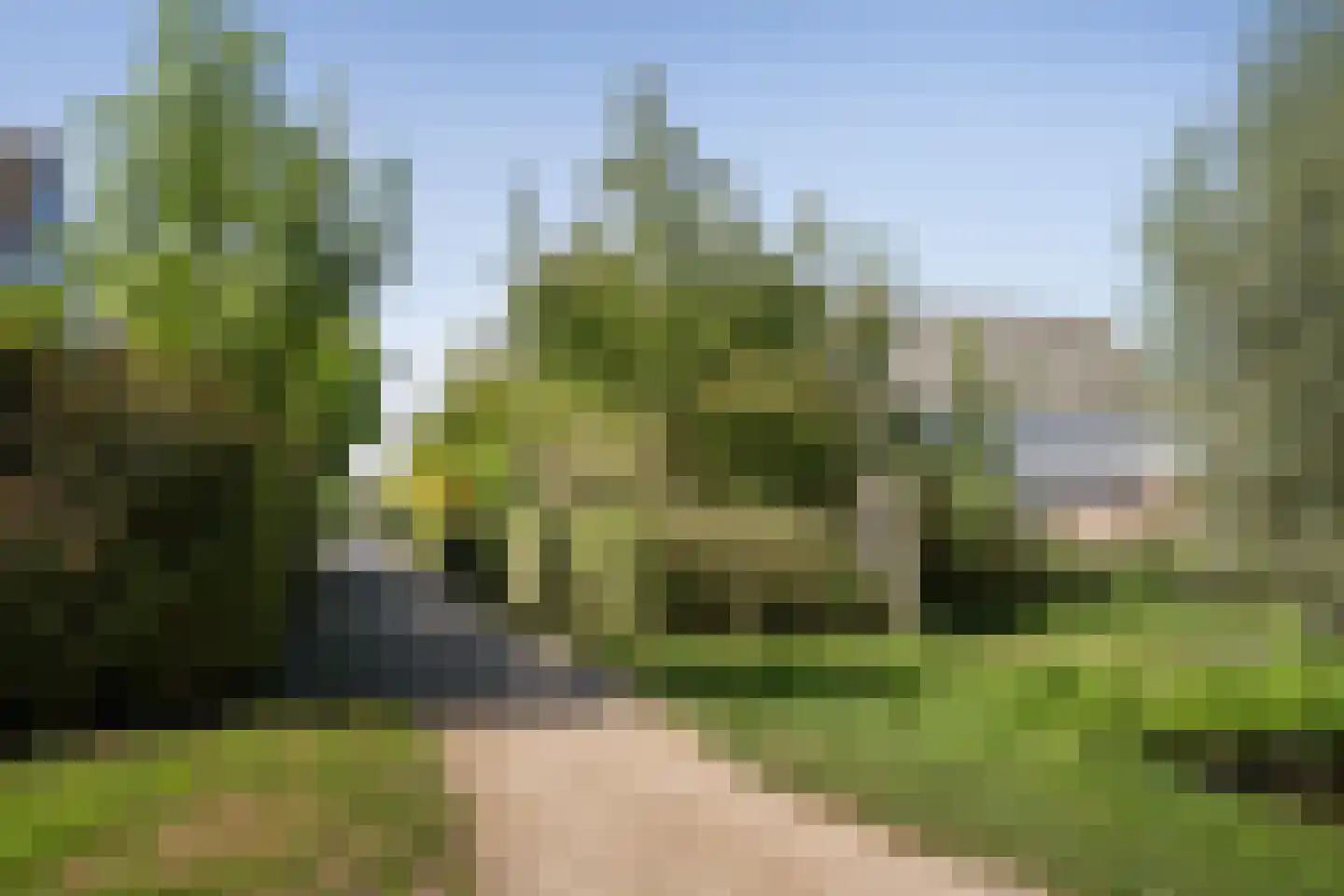 Leenman 8 Maasland thumbnail 39