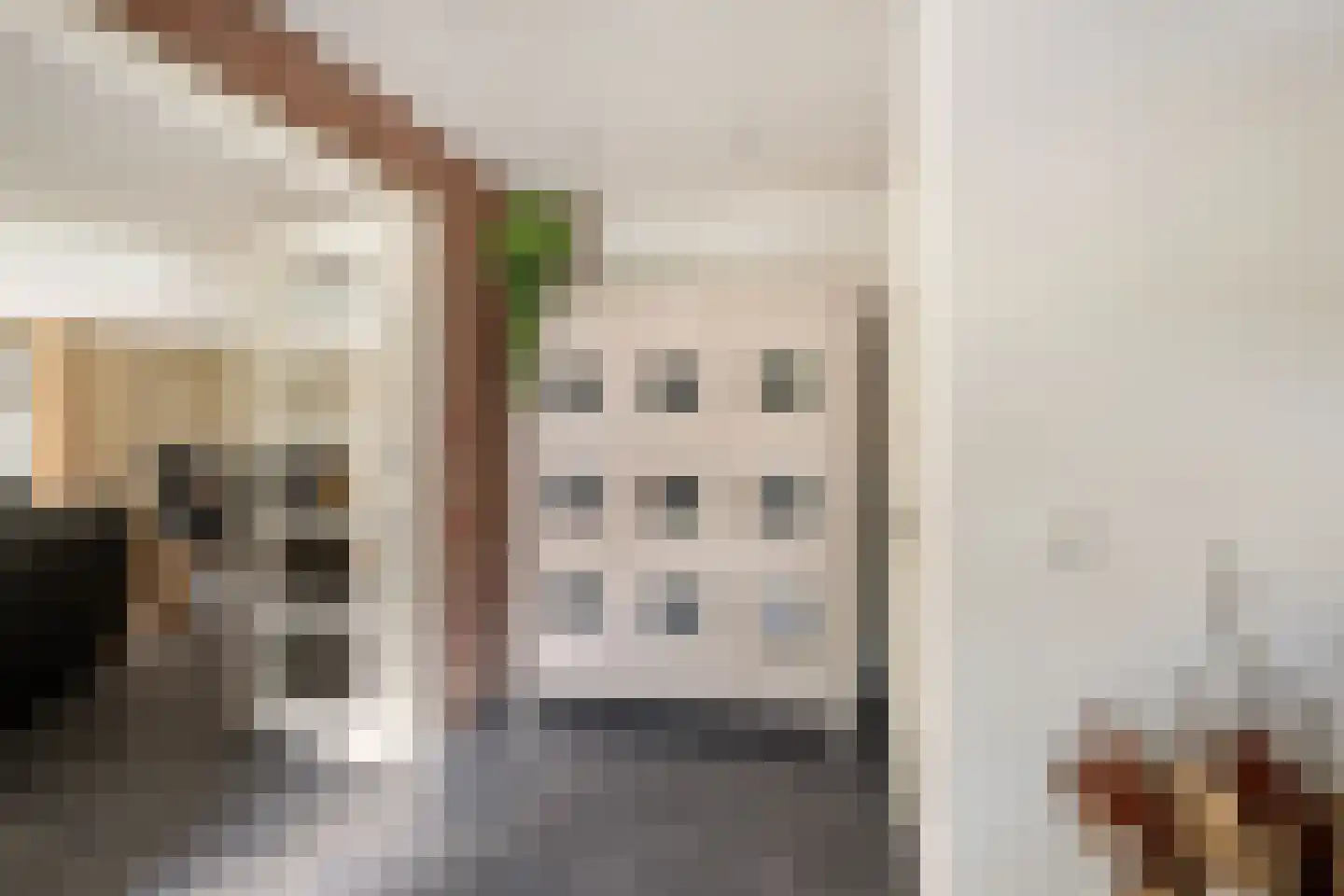 Leenman 8 Maasland thumbnail 4
