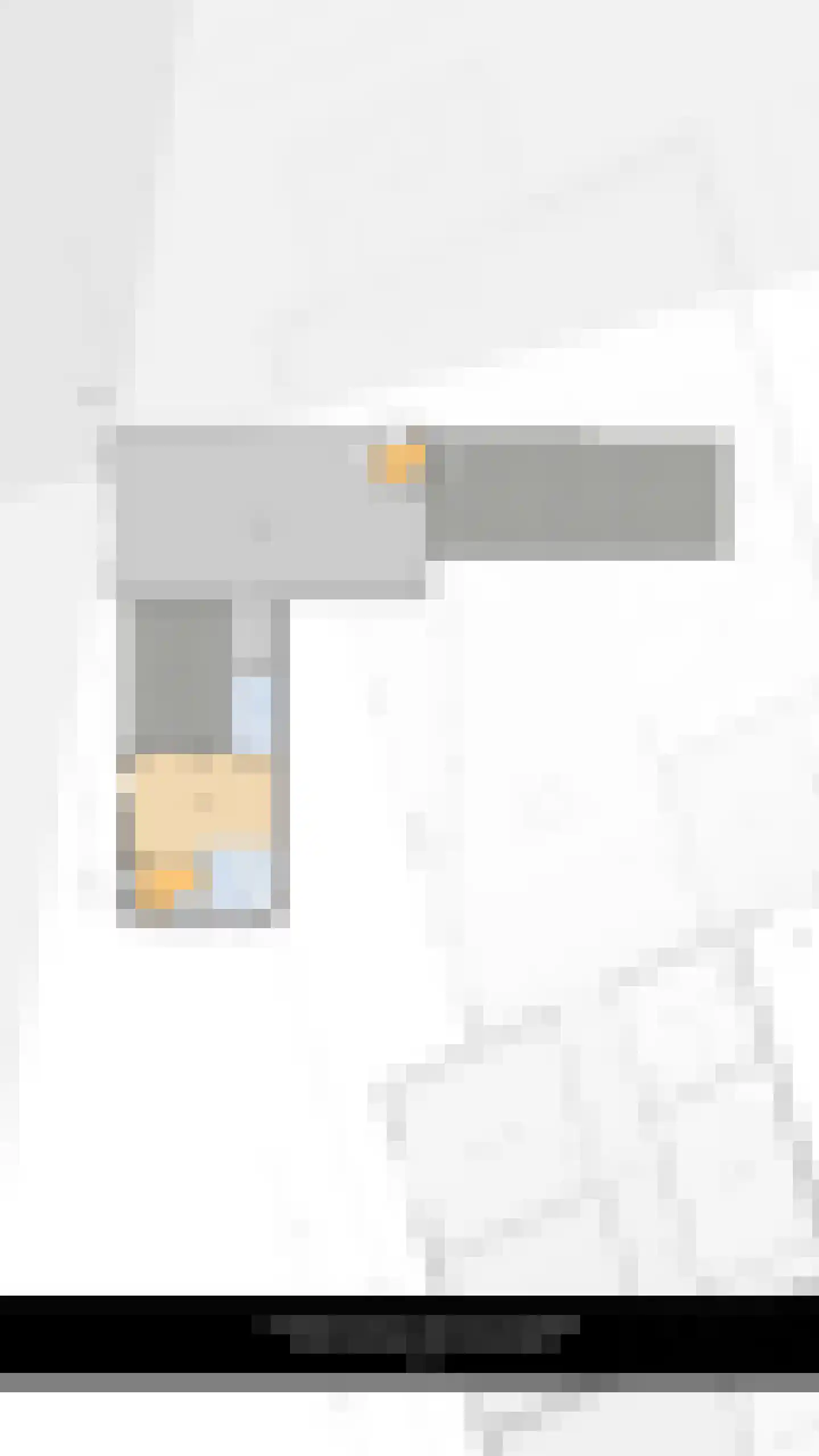 Leenman 8 Maasland thumbnail 41