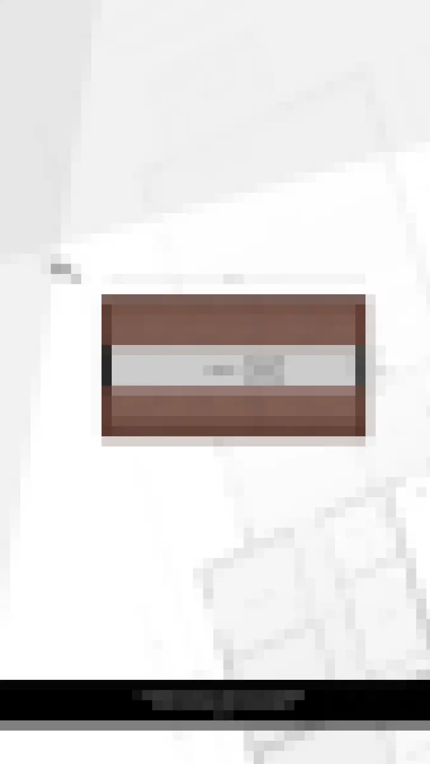 Leenman 8 Maasland thumbnail 44
