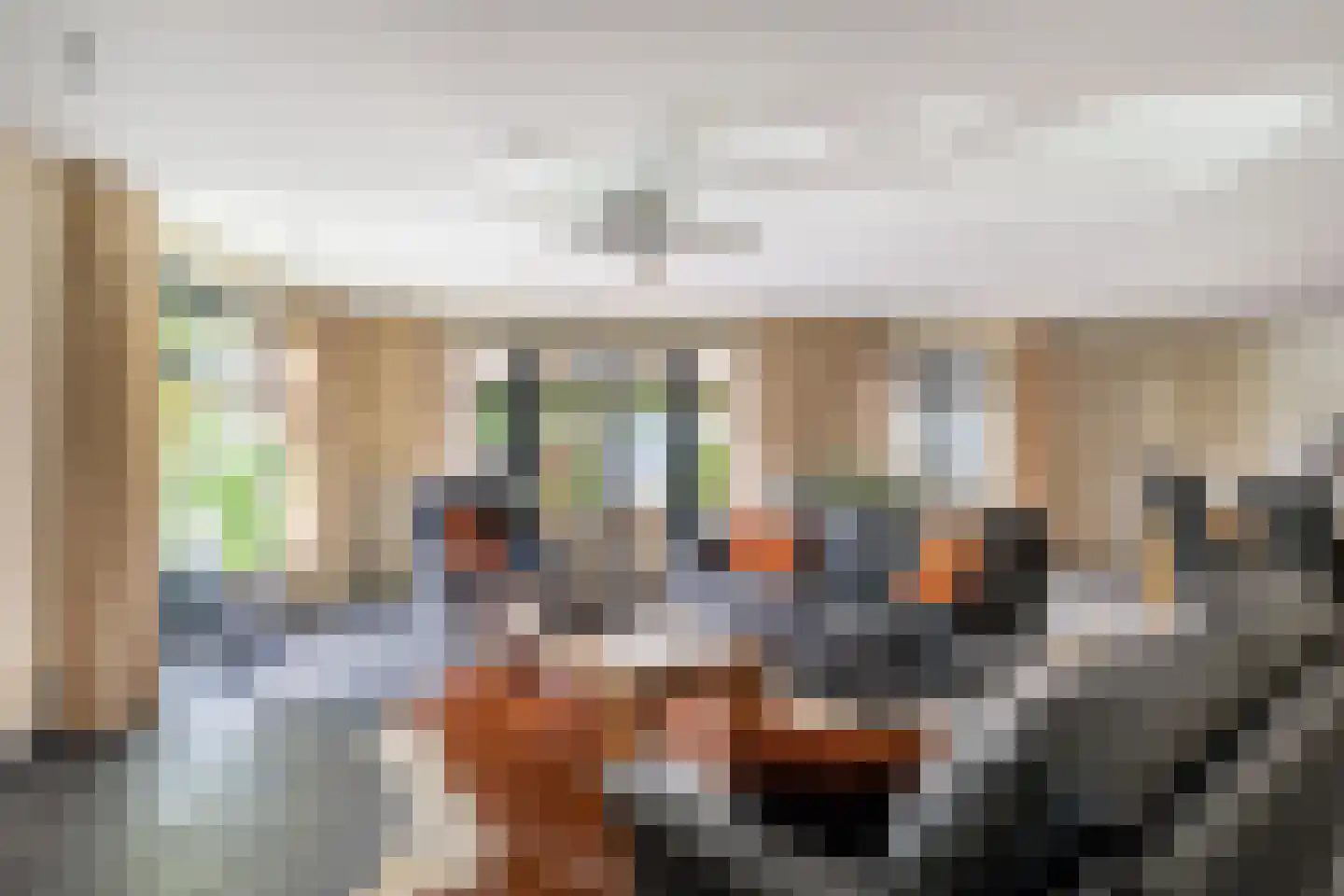 Leenman 8 Maasland thumbnail 6