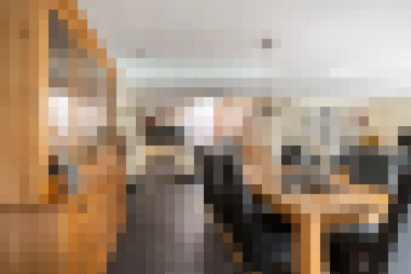 Leenman 8 Maasland thumbnail 9