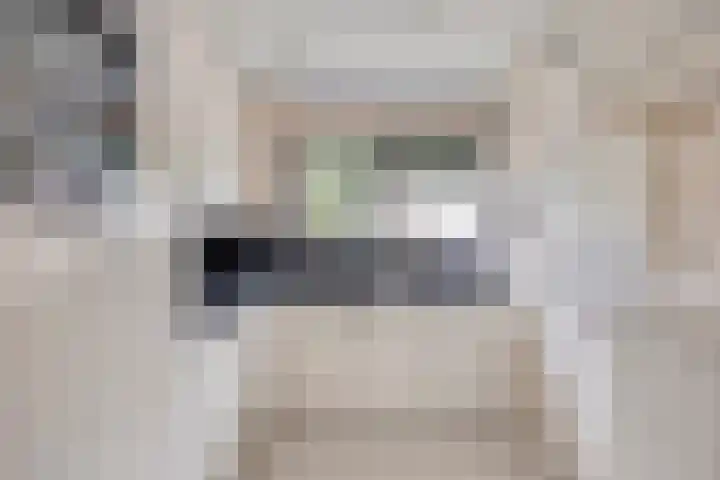 Leenmanslag 19 Gouda thumbnail 13