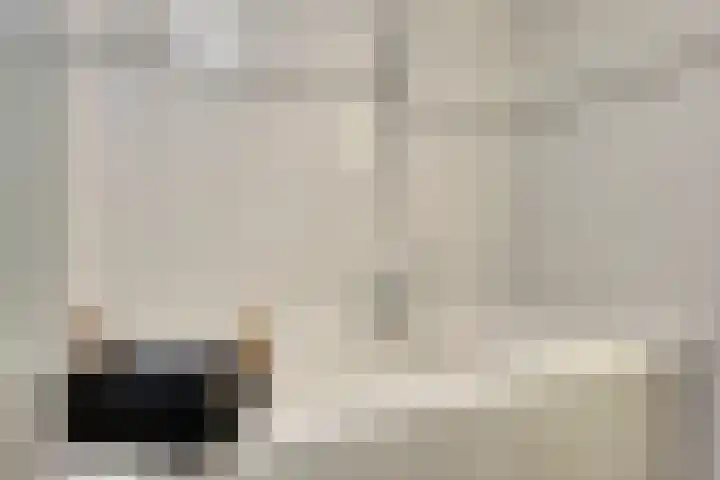 Leenmanslag 19 Gouda thumbnail 17