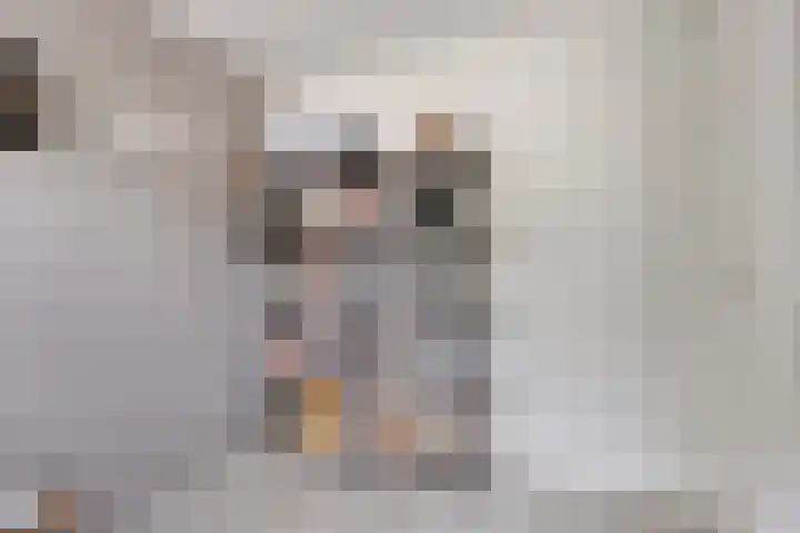 Leenmanslag 19 Gouda thumbnail 27