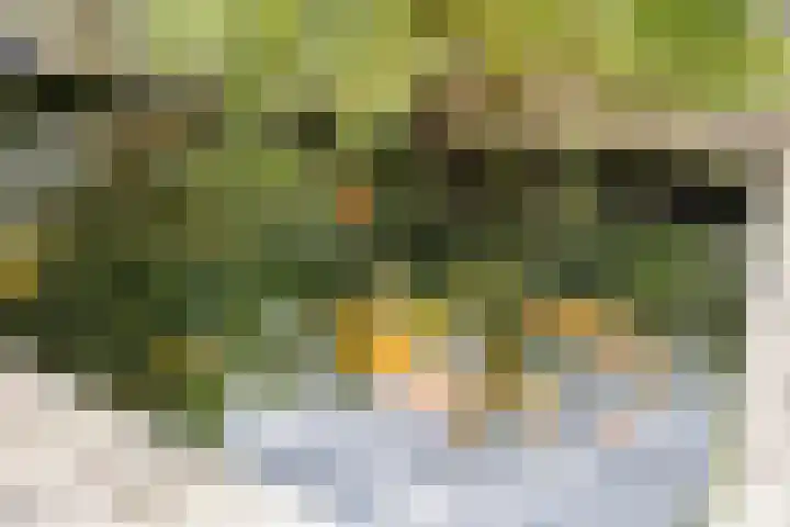 Leenmanslag 19 Gouda thumbnail 34