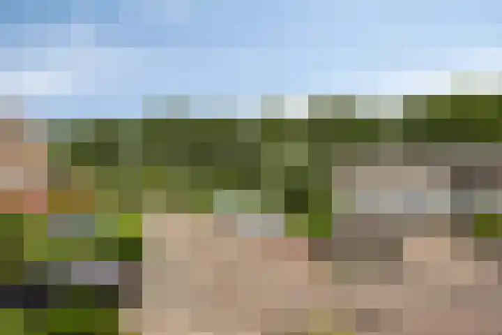 Leenmanslag 19 Gouda thumbnail 4