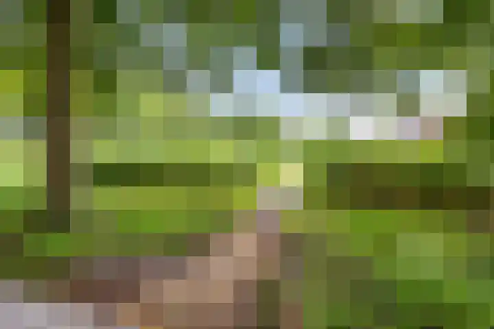 Leenmanslag 19 Gouda thumbnail 42