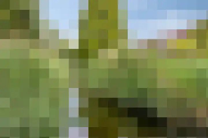 Leenmanslag 19 Gouda thumbnail 43