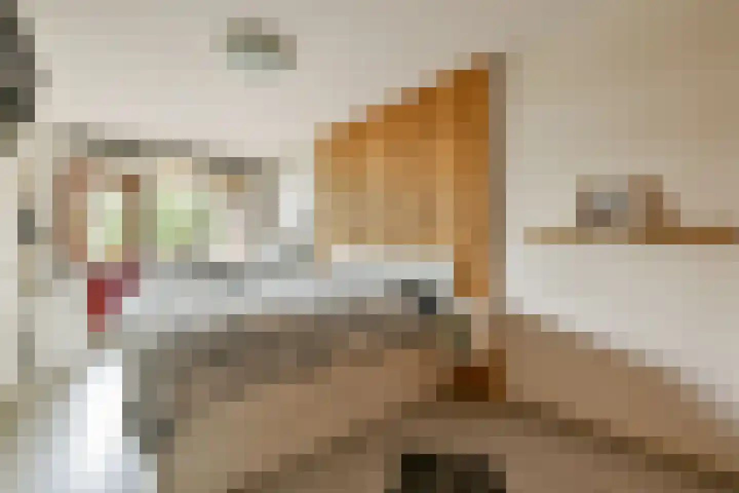 Leerdamhof 11 Amsterdam thumbnail 18
