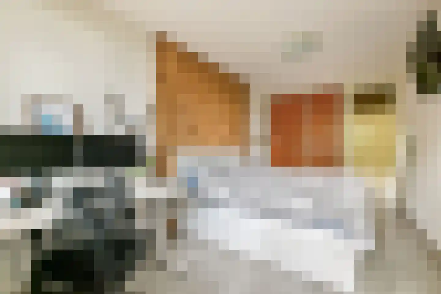 Leerdamhof 11 Amsterdam thumbnail 19