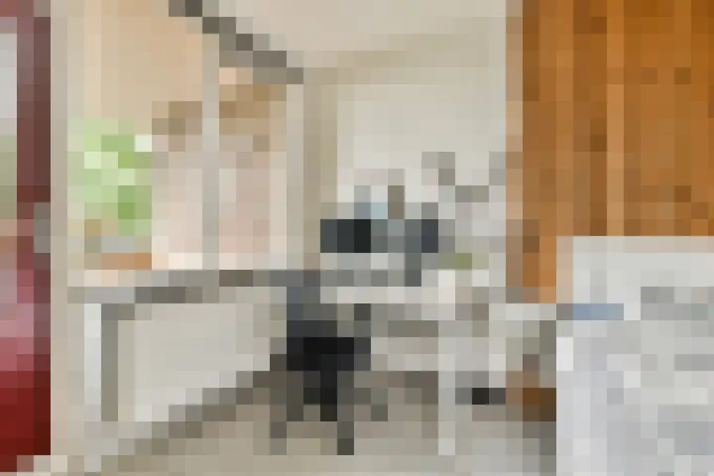 Leerdamhof 11 Amsterdam thumbnail 20
