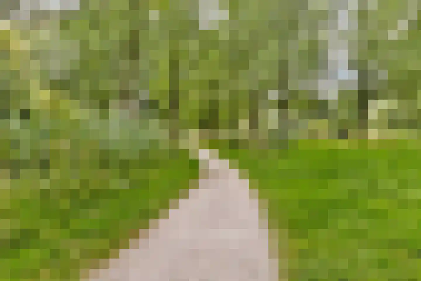 Leerdamhof 11 Amsterdam thumbnail 30