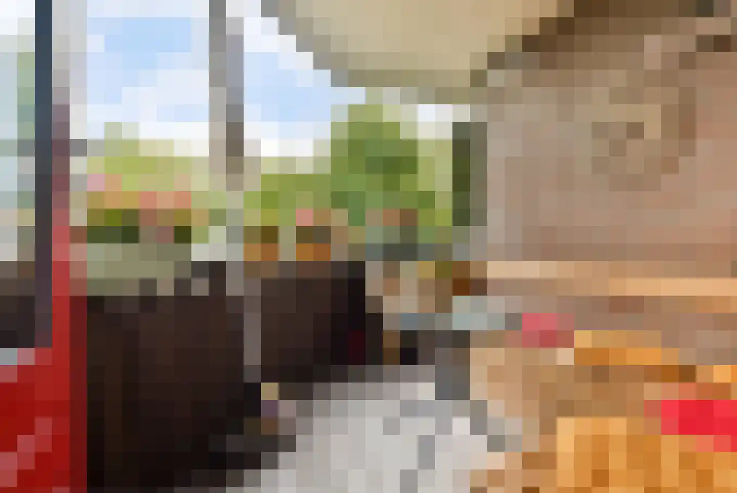 Leerdamhof 11 Amsterdam thumbnail 4