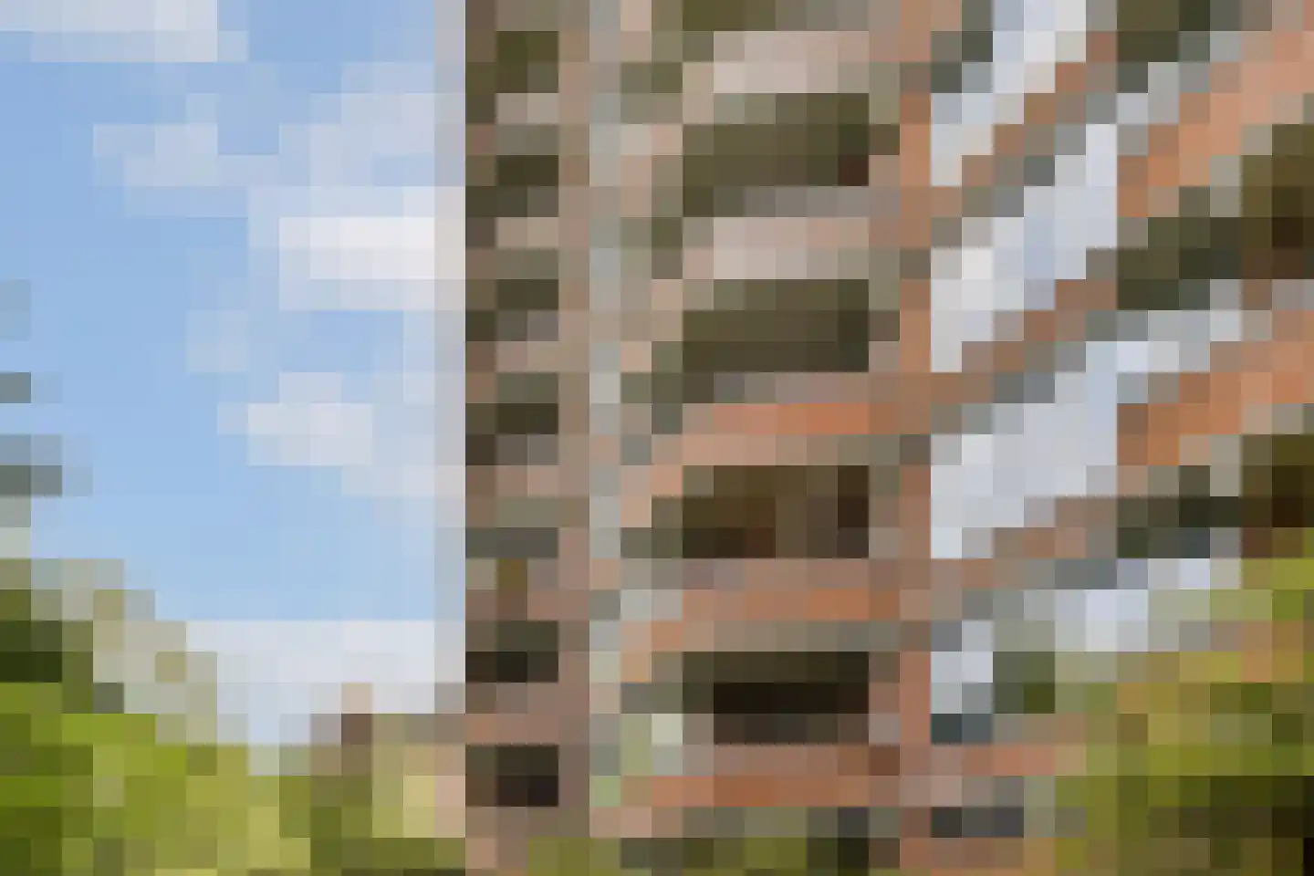 Leerdamhof 11 Amsterdam thumbnail 6