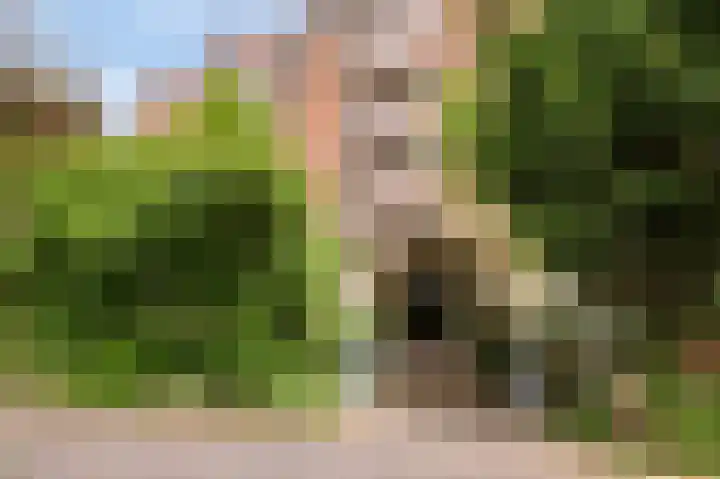 Leerdamhof 396 Amsterdam thumbnail 15