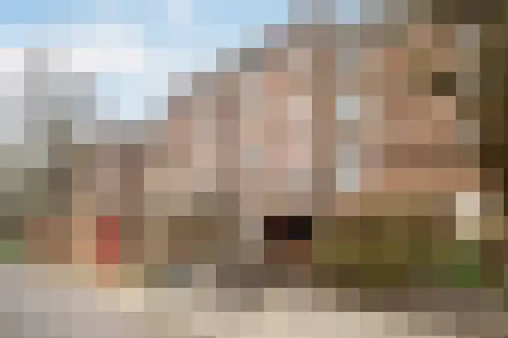Leerdamhof 448 Amsterdam thumbnail 13