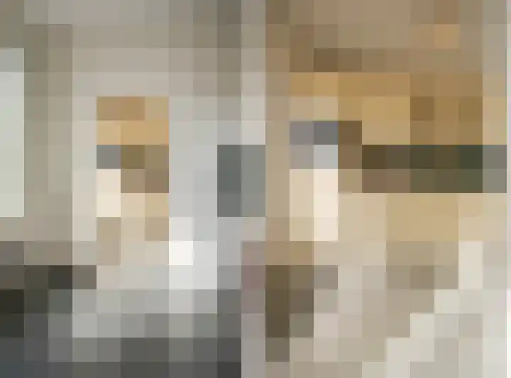 Leerdamstraat 4 Arnhem thumbnail 18