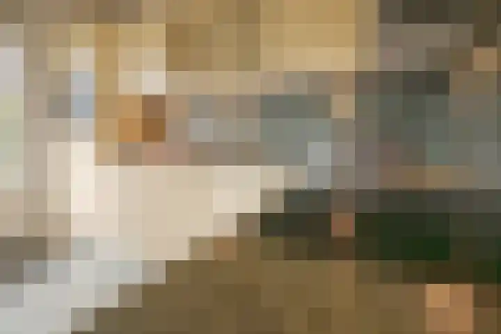 Leerdamstraat 4 Arnhem thumbnail 4