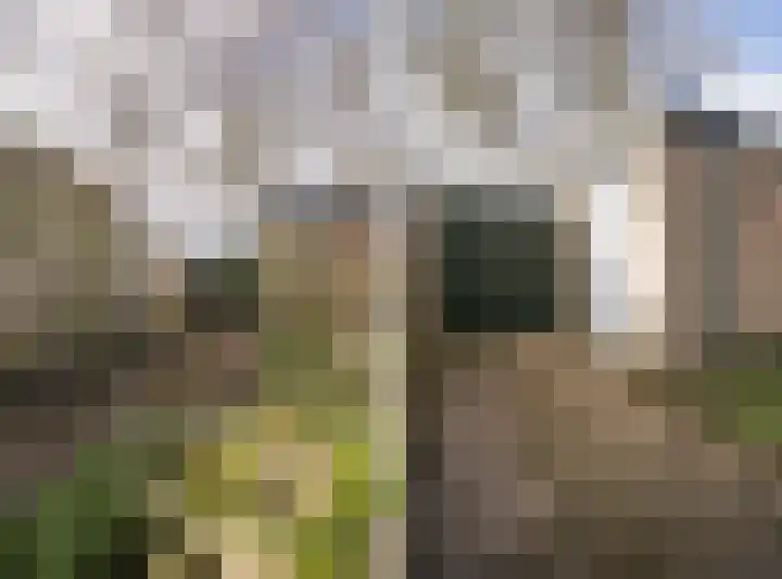 Leerdamstraat 4 Arnhem thumbnail 52