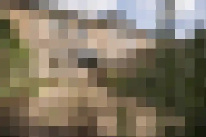 Leerdamstraat 4 Arnhem thumbnail 6