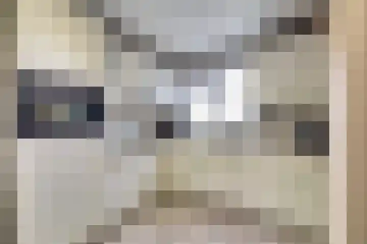 Leerlooier 24 Beuningen Gld thumbnail 10