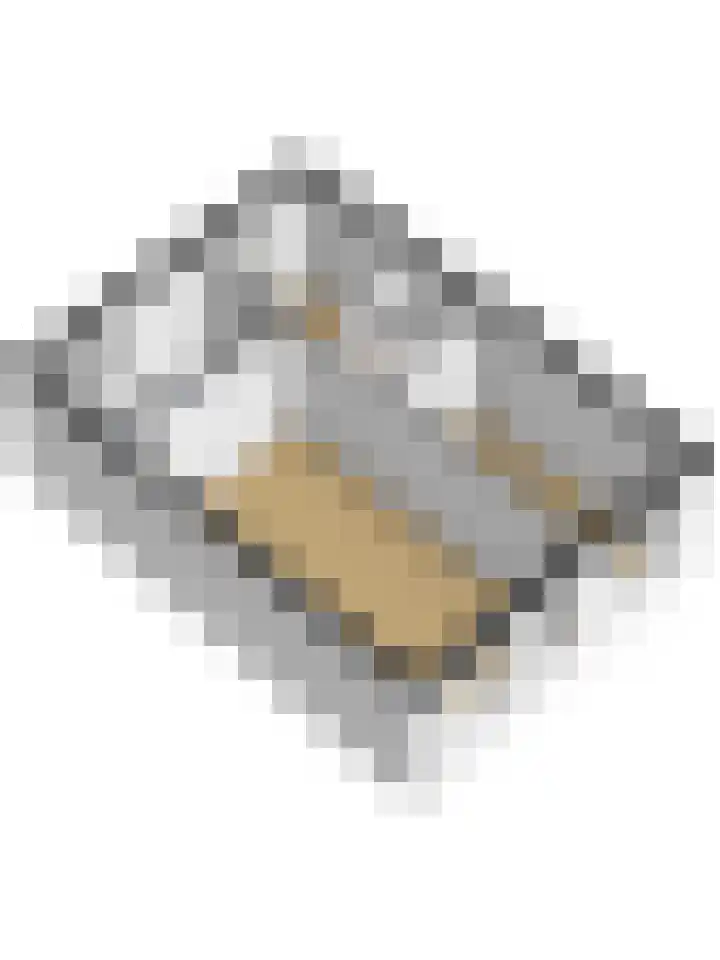 Leerlooier 24 Beuningen Gld thumbnail 33