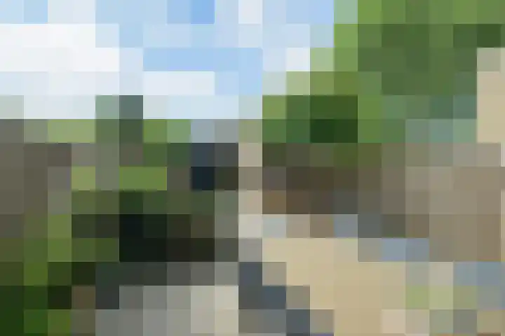 Leerlooierstraat 29 Breda thumbnail 24