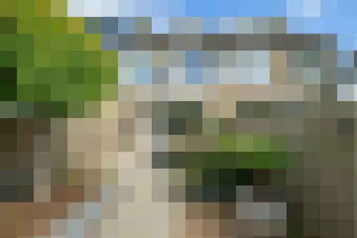Leerlooierstraat 29 Breda thumbnail 33