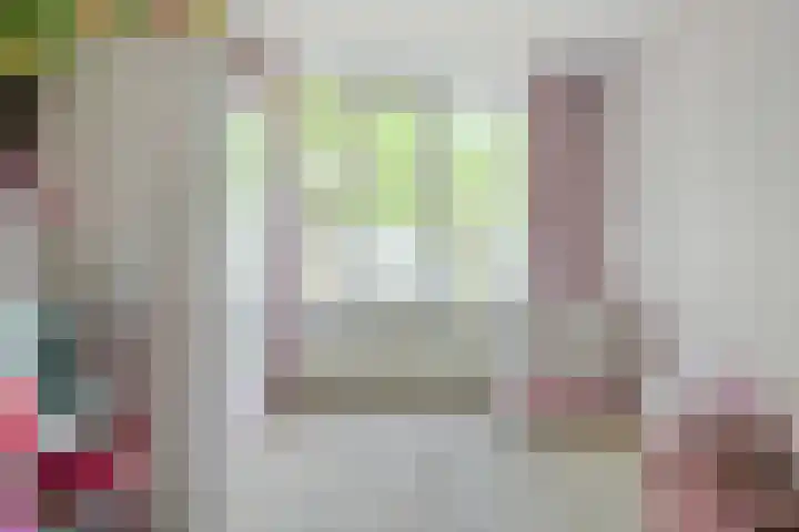 Leerlooierstraat 29 Breda thumbnail 42