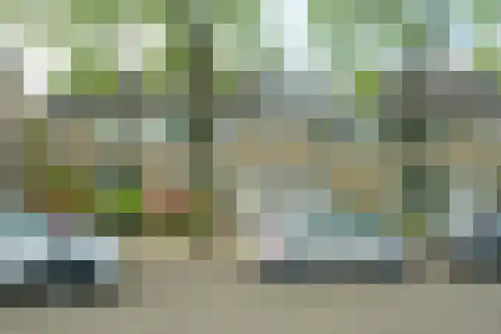 Leerlooierstraat 29 Breda thumbnail 52
