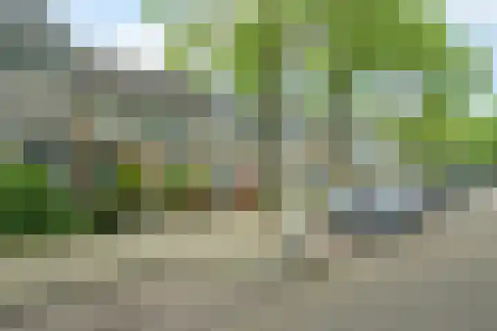 Leerlooierstraat 29 Breda thumbnail 54