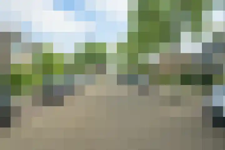 Leerlooierstraat 29 Breda thumbnail 55