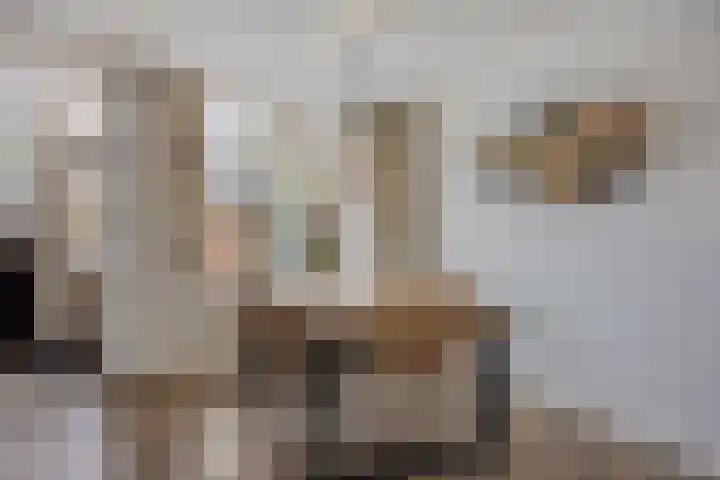 Leerlooierstraat 73 Oss thumbnail 10