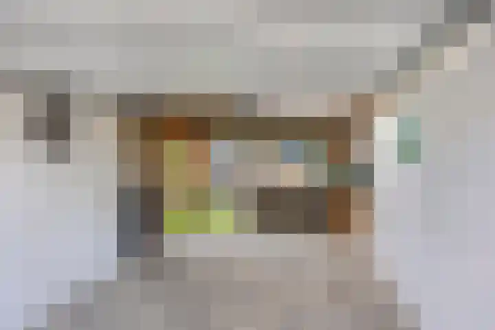 Leerlooierstraat 73 Oss thumbnail 18