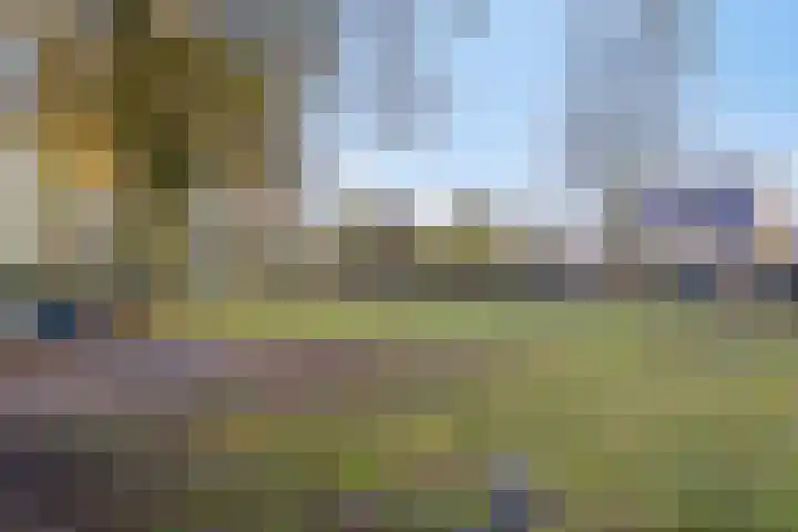 Leerlooierstraat 73 Oss thumbnail 38